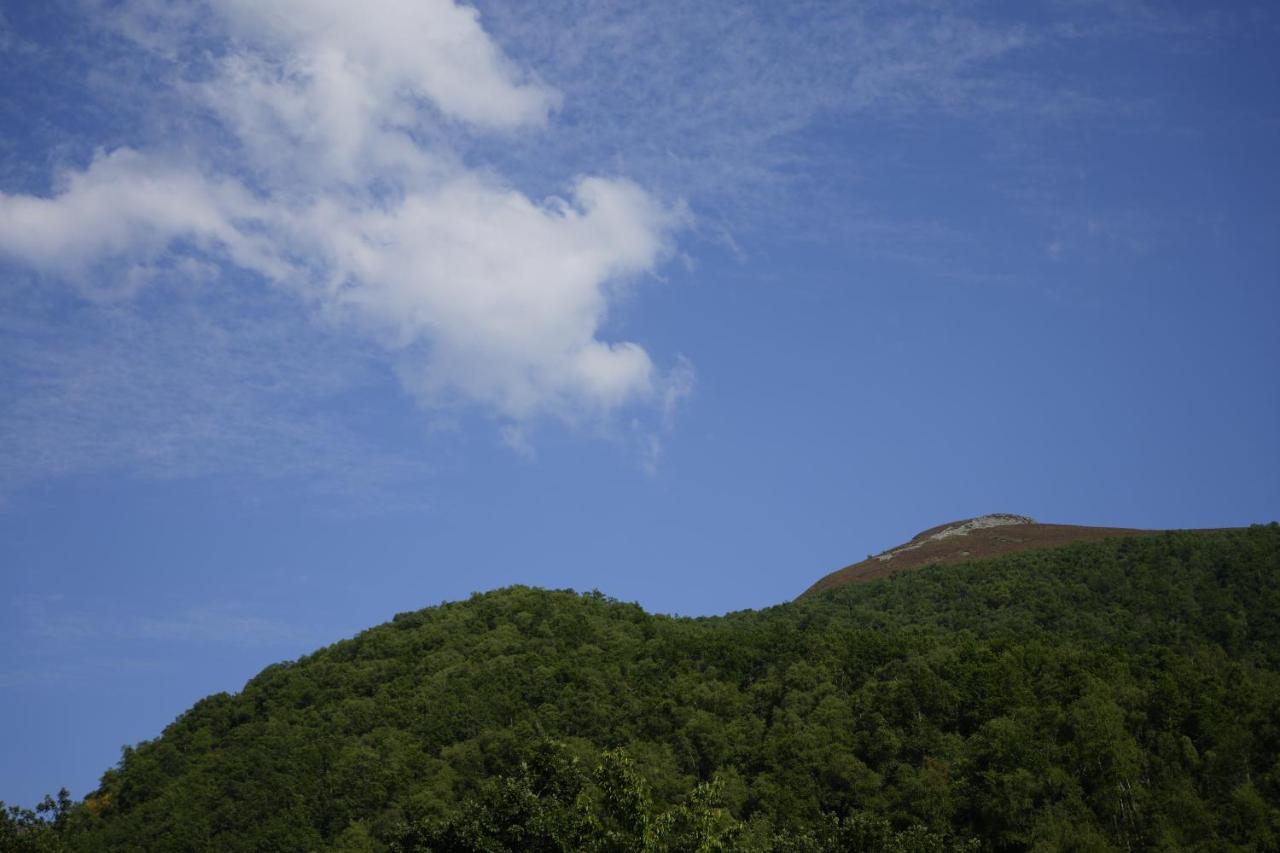 Willa Vivienda Uso Turistico Prado Novo Suarbol Zewnętrze zdjęcie